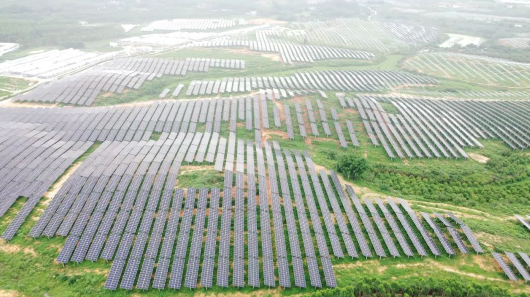 光耀世界丨賦能“大灣區”！晶澳科技n型組件助力中國能建350MW項目落地粵西